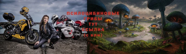 МДПВ Алексеевка