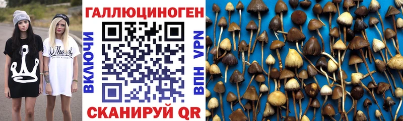 Галлюциногенные грибы Magic Shrooms купить цена Оленегорск